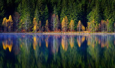Romanya 'nın St. Ana gölündeki sulara yansıyan ağaçlarla dağlarda sonbahar manzarası