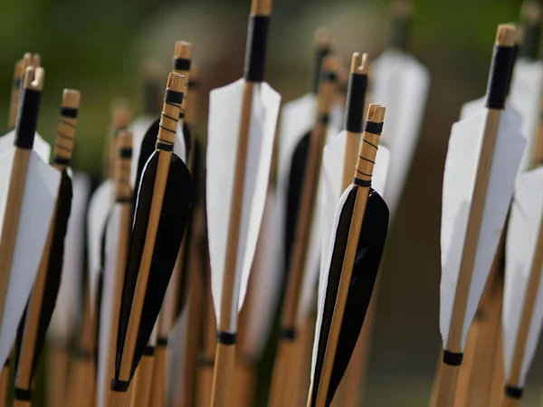 Flechas Hechas Mano Estilo Medieval Cada Flecha Con Color Blanco — Foto de Stock