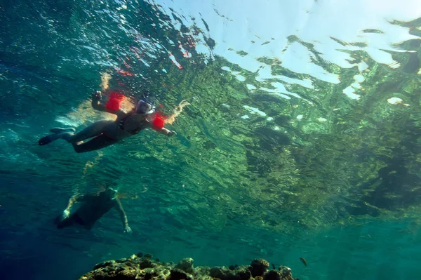 Imagem Subaquática Peixes Tropicais — Fotografia de Stock