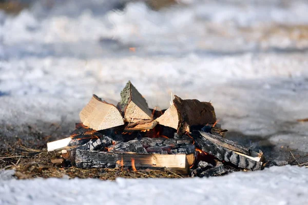 Nahaufnahme Vom Lagerfeuer — Stockfoto