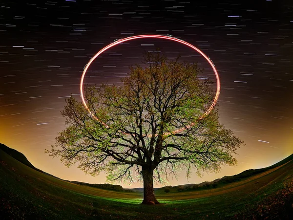 Hermoso Cielo Noche Círculo Luz Sobre Árbol Solitario Campo — Foto de Stock