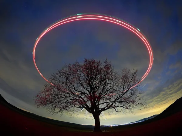 Beau Ciel Nuit Cercle Lumineux Dessus Arbre Solitaire Sur Champ — Photo