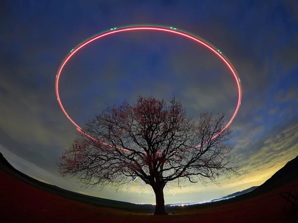 Hermoso Cielo Noche Círculo Luz Sobre Árbol Solitario Campo — Foto de Stock