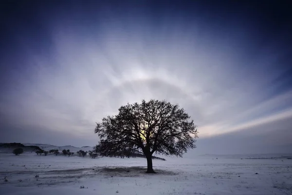Kışın Dobrogea Romanya Güneş Çevresinde Hale Efekti — Stok fotoğraf