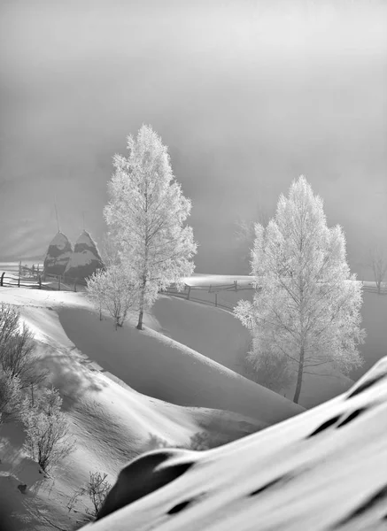 Bellissimo Paesaggio Montano Invernale Fundatura Ponorului Romania — Foto Stock