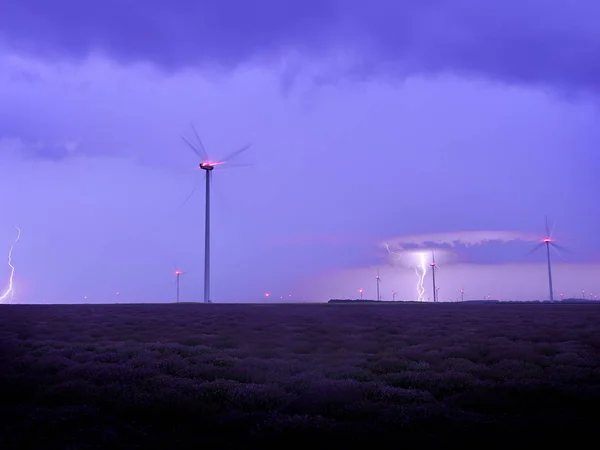 Stunning View Endless Lavender Field Stormy Night Sky Ligntnings — Stock Photo, Image