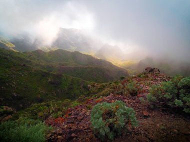 günbatımı üzerinde Carrizales Kanyon Tenerife, Kanarya Adaları, İspanya