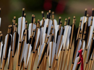 el okları Ortaçağ tarzı her ok tüy üzerinde siyah ve beyaz renk ile hazırlanmış.