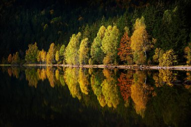 Romanya 'nın St. Ana gölündeki sulara yansıyan ağaçlarla dağlarda sonbahar manzarası