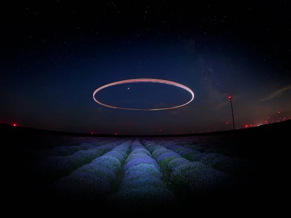 Night Sky Blooming Lavender Field — Stock Photo, Image