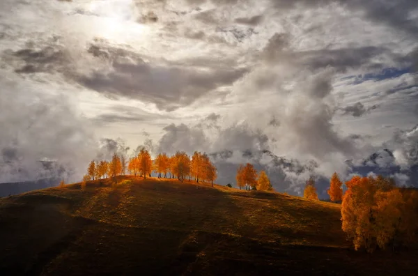 ルーマニアの秋の朝のカルパチア山脈の田園風景 — ストック写真