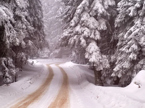 Paesaggio Invernale Con Alberi Montagne Coperte Neve Gelo — Foto Stock