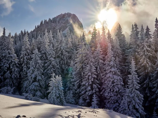 winter landscape with trees and mountains covered with snow and frost in the sunrise light