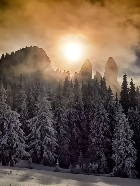 Paysage Hivernal Avec Des Arbres Des Montagnes Couverts Neige Gel — Photo