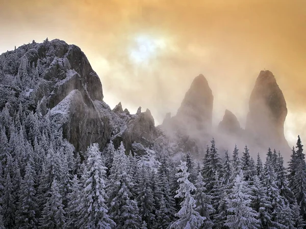 在日出的灯光下 冰雪覆盖的树木和山脉的冬季景观 — 图库照片