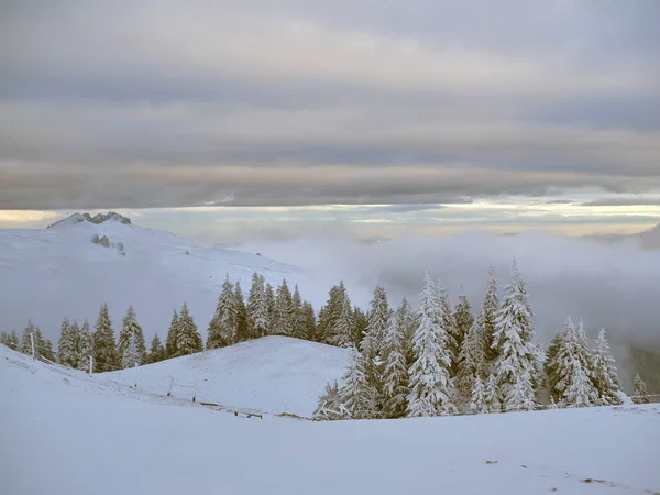 Paisagem Inverno Com Árvores Montanhas Cobertas Neve Geada — Fotografia de Stock