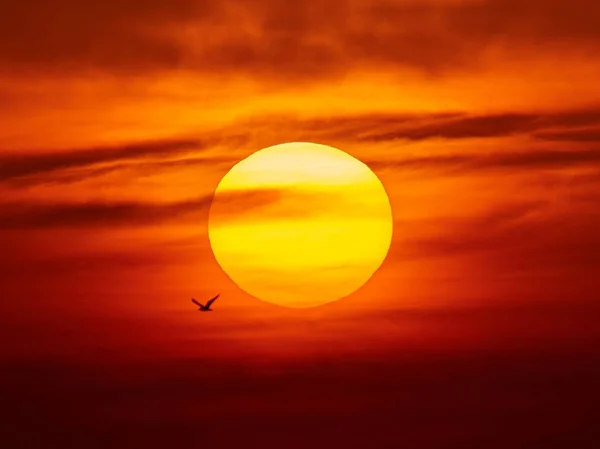Большое Красивое Закатное Солнце Добрый Вечер Небо Оттенками Желтого Красного — стоковое фото