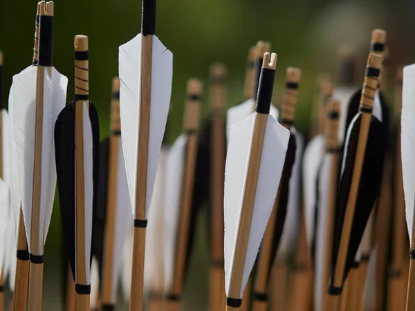 Flechas Hechas Mano Estilo Medieval Cada Flecha Con Color Blanco — Foto de Stock