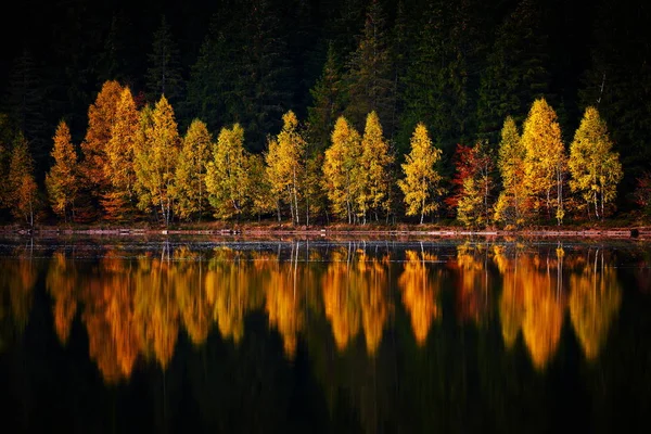 Romanya Nın Ana Gölündeki Sulara Yansıyan Ağaçlarla Dağlarda Sonbahar Manzarası — Stok fotoğraf