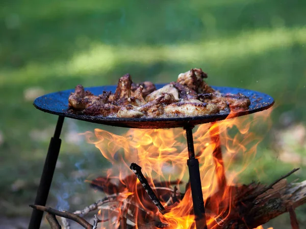 Nourriture Camping Barbecue Plein Air Dans Camp Été — Photo