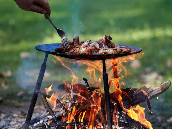 Cibo Campeggio Barbecue All Aperto Nel Campo Estivo — Foto Stock