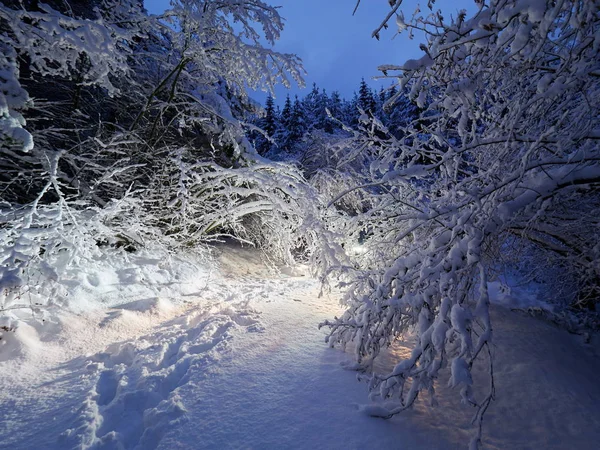 Beau Paysage Hiver Nuit — Photo