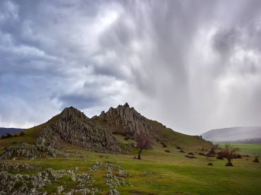 panoramik Dobrogea alanları yaz, Romanya
