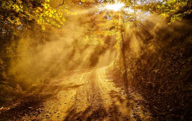 Buradan geçen güneş ışığı ile dağlarda güzel sisli sabah