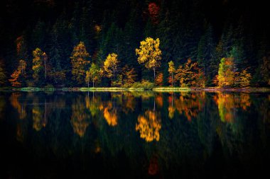 Romanya 'nın St. Ana gölündeki sulara yansıyan ağaçlarla dağlarda sonbahar manzarası