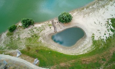 Romanya 'nın Dobrogea kentinde yazın Tuna Nehri kıyısının havadan manzarası