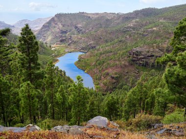 Gran Canaria ada dağlar ve vadiler peyzaj