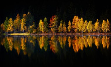 Romanya 'nın St. Ana gölündeki sulara yansıyan ağaçlarla dağlarda sonbahar manzarası