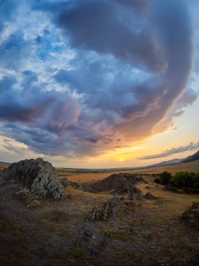 Hava panoramik Dobrogea alanları yaz, Romanya