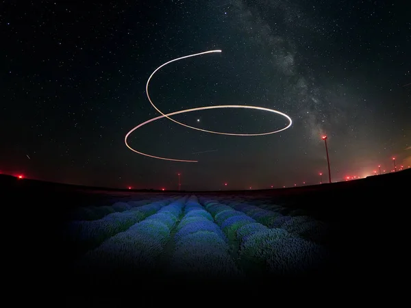 Cielo Nocturno Sobre Campo Lavanda Floreciente — Foto de Stock