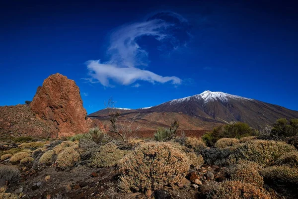 Tenerife Ulusal Parkı Kanarya Adaları — Stok fotoğraf