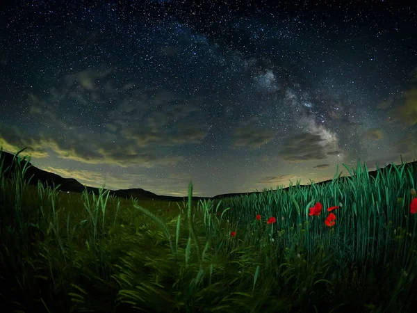 Paisaje Nocturno Con Vía Láctea Sobre Los Campos Dobrogea Rumania — Foto de Stock