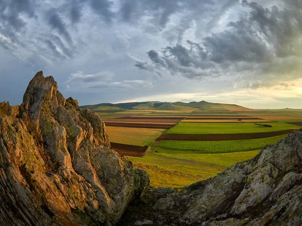 Vista Panorámica Los Campos Dobrogea Verano Rumania — Foto de Stock