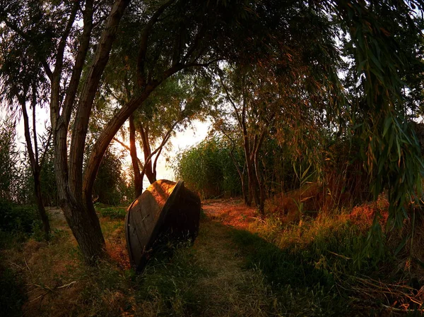 Landscape Sunset Sunrise Lake — Stock Photo, Image