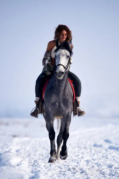 年轻女子骑着马在冬天室外 — 图库照片