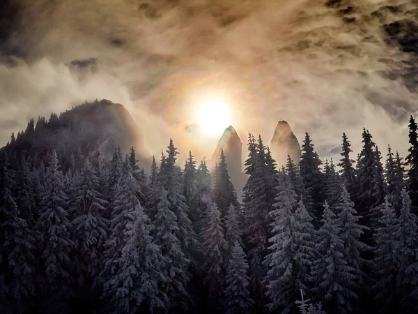 Winterlandschaft Mit Bäumen Und Schnee Und Frostbedeckten Bergen Sonnenaufgangslicht — Stockfoto