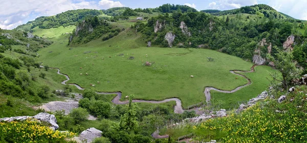 Berglandschaft Sommermorgen Fundatura Ponorului Rumänien — Stockfoto