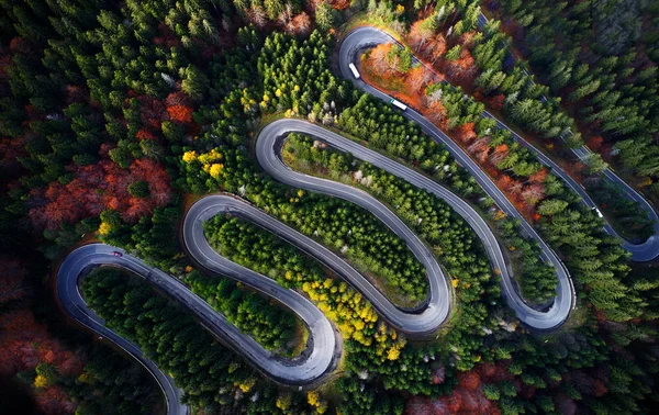 弯弯曲曲的道路穿过五彩缤纷的秋天的森林 穿过罗马尼亚的特兰西瓦尼亚 从无人机俯瞰天空 — 图库照片