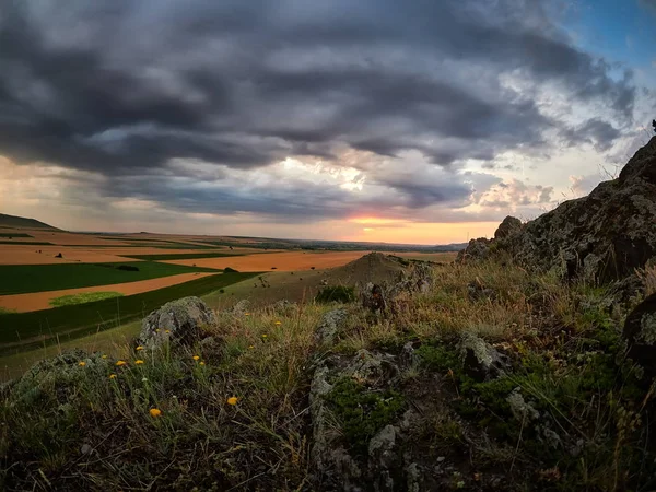 Panoramautsikt Över Dobrogea Fält Sommar Rumänien — Stockfoto