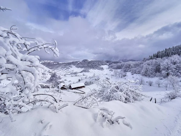 Indah Lanskap Gunung Musim Dingin Fundatura Ponorului Hunedoara County Romania — Stok Foto