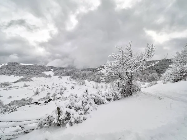 Hermoso Paisaje Montaña Invierno Fundatura Ponorului Provincia Hunedoara Rumania Vista — Foto de Stock