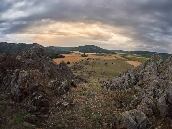 Panoramisch Uitzicht Van Dobrogea Velden Zomer Roemenië — Stockfoto