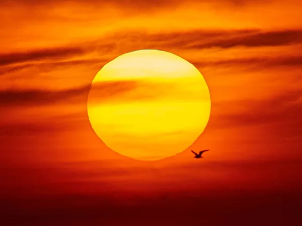 Big Beautiful Sunset Sun Good Evening Weather Sky Shades Yellow — Stock Photo, Image