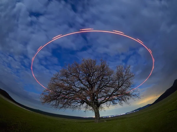 Beautiful Sky Night Light Circle Lonely Tree Field — Stock Photo, Image