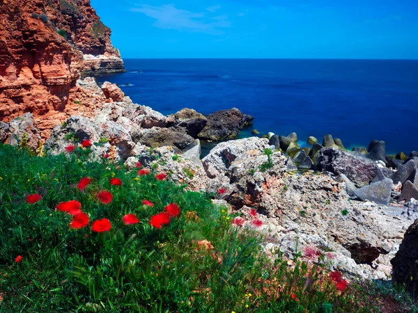 Wunderschöne Meeresküste Sommer Das Schwarze Meer — Stockfoto
