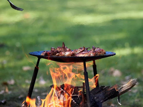 Cibo Campeggio Barbecue All Aperto Nel Campo Estivo — Foto Stock